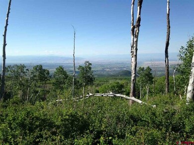 25889 Highway 65, Cedaredge, CO 81413 - photo 2