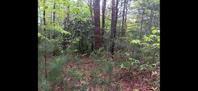 00 Old Parker Terrace, Ellijay, GA 30536 - photo 2