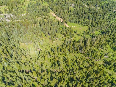 Lot 19 Towering Pines, Big Sky, MT 59716 - photo 7