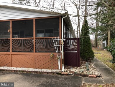 49 White Pine Dr, Millsboro, DE 19966 - photo 4