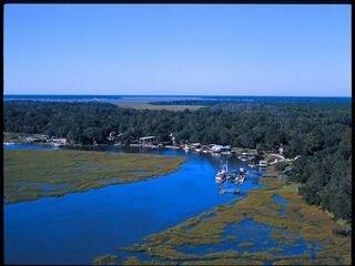 529 Marsh Hen Dr NE, Shellman Bluff, GA 31331 - photo 4