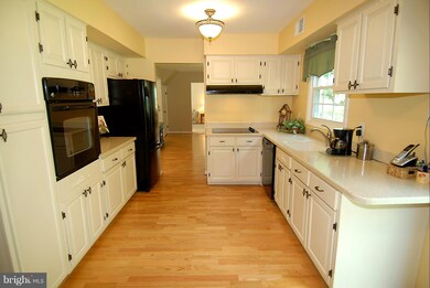 13010 Maple View Ln, Fairfax, VA 22033 - photo 6