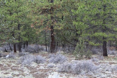 1728 NW Remarkable #30 Dr, Bend, OR 97701 - photo 4