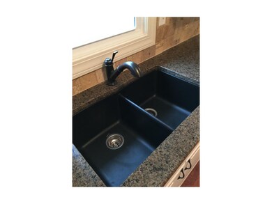 Composite Granite Sink and ORB pull-out faucet