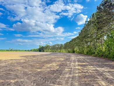 0 Tbd Sandhill Rd unit LotWP002 23456478, Marion, SC 29571 - photo 5