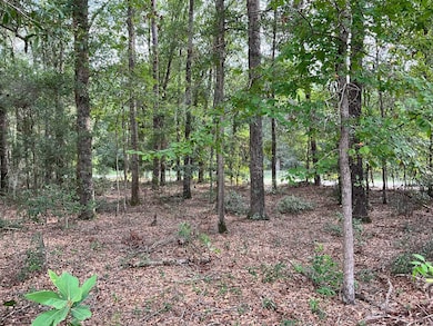 3887 Old Salkehatchie Rd, Early Branch, SC 29916 - photo 3