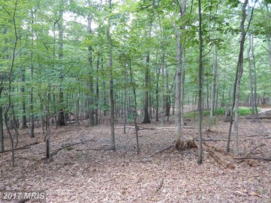LOT 44 Boiling Springs, Gerrardstown, WV 25420 - photo 6