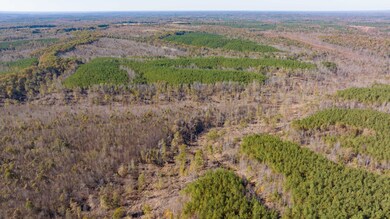 0 Old Highway 18 unit RTC2588370, Stewart, TN 37175 - photo 4