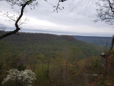 Bluff view