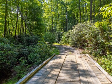 6736 Wayah Rd, Franklin, NC 28734 - photo 4