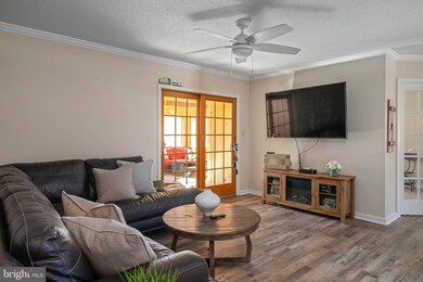 5 Nichole Dr, Milton, DE 19968 - photo 7