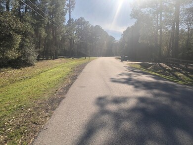 XXX Bob Link, Magnolia, TX 77484 - photo 6