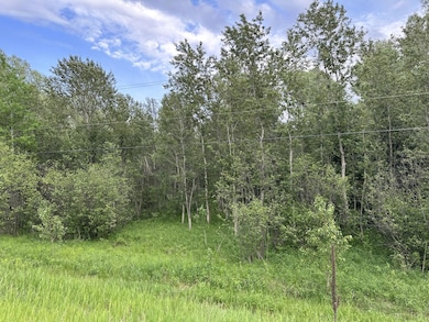 000 W M-72 Hwy, Grayling, MI 49738 - photo 6