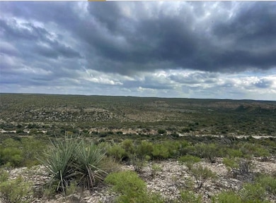 Tract 15-O Indian Creek Ranch, Dryden, TX 78851 - photo 5
