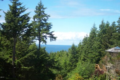 Distant Ocean View