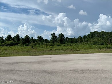 0 Access Undetermined unit 222064855, Lehigh Acres, FL 33974 - photo 2