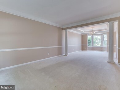 42578 Pelican Dr, Chantilly, VA 20152 - photo 6