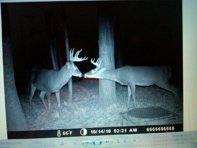 11483 Edgington Rd, Danville, OH 43014 - photo 2