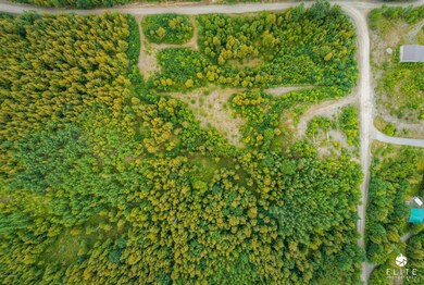 Aerial overhead