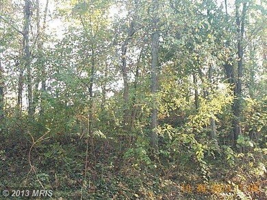 1312 Rollins Ave, Capitol Heights, MD 20743 - photo 3