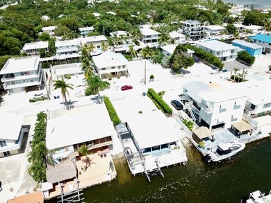 Backyard View Drone Shot