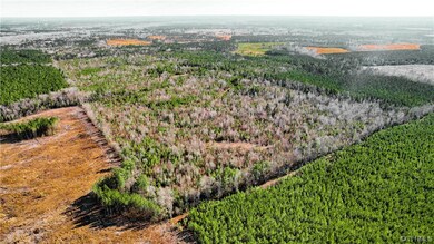 Rt. 659 Jolly Rd, Prince George, VA 23842 - photo 4