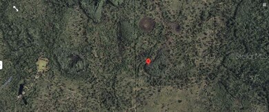 2307 Dill Rd, Bithlo, FL 32820 - photo 3