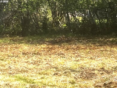 92036 Marcola Rd, Springfield, OR 97478 - photo 5