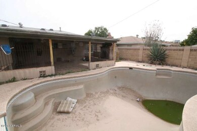'BEFORE' BACKYARD