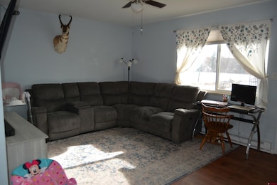 215 1/2 NE 4th St, Cedaredge, CO 81413 - photo 4