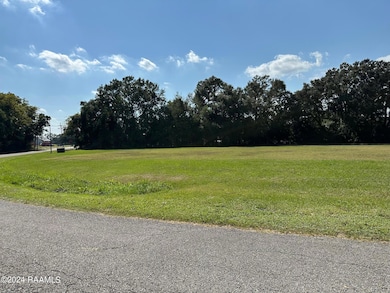 12210 Lake Breeze Dr, Erath, LA 70533 - photo 3