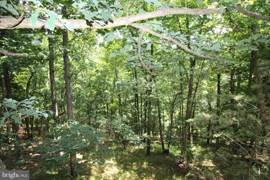 282 Snyders Ridge Rd, Mathias, WV 26812 - photo 5