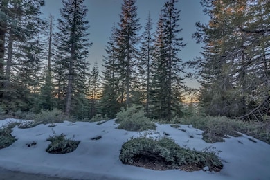 0 Prather Meadow Rd unit 225152963, Twain Harte, CA 95223 - photo 5