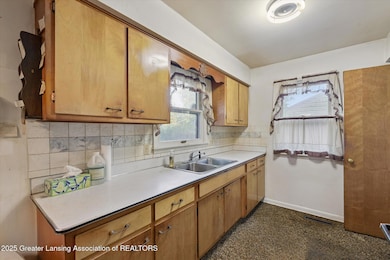 3801 Schlee St, Lansing, MI 48910 - photo 6