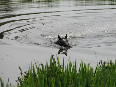 2551 Flowery Trail Rd, Chewelah, WA 99109 - photo 6