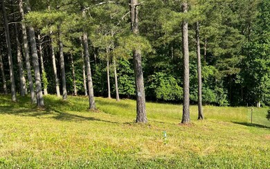 Additional View