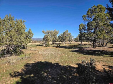 100 & 110 Wrangler Way, Durango, CO 81303 - photo 5