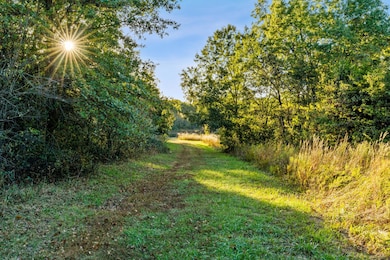 000 County Road 1044, Auxvasse, MO 65231 - photo 7