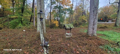 1121 Breeding Rd, Edmonton, KY 42129 - photo 7