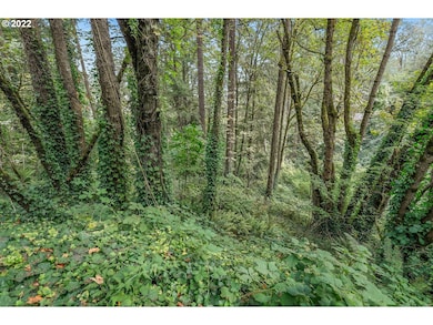 0 E Side Nw Germantown Rd unit 22109626, Portland, OR 97231 - photo 5