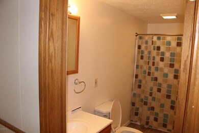 3708 16th St, Wayland, MI 49348 - photo 5
