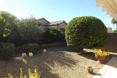 REAR YARD