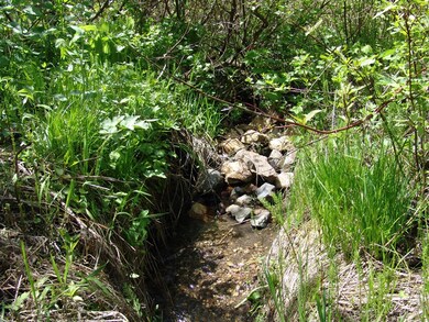 Listen to the Sound of the Babbling Stream