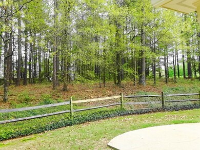 Wooded Backyard