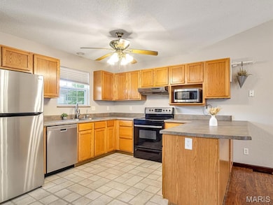 109 E Red Bud Ct, Valmeyer, IL 62295 - photo 5