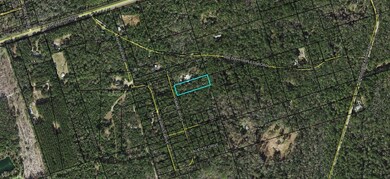 65 Simmie Dr, Crawfordville, FL 32327 - photo 7