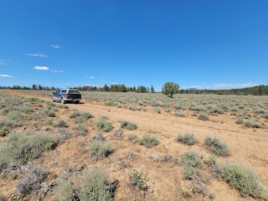 0 Sprague River Rd unit 25582169, Sprague River, OR 97639 - photo 5
