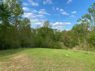 7 Crest Line Dr, Upatoi, GA 31829 - photo 4