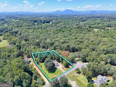 271 Panacea Ln, Demorest, GA 30535 - photo 4