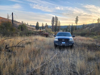 0 Carpenter Rd, Fruitland, WA 99129 - photo 5